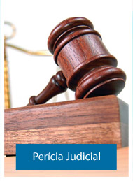 Pericia Judicial